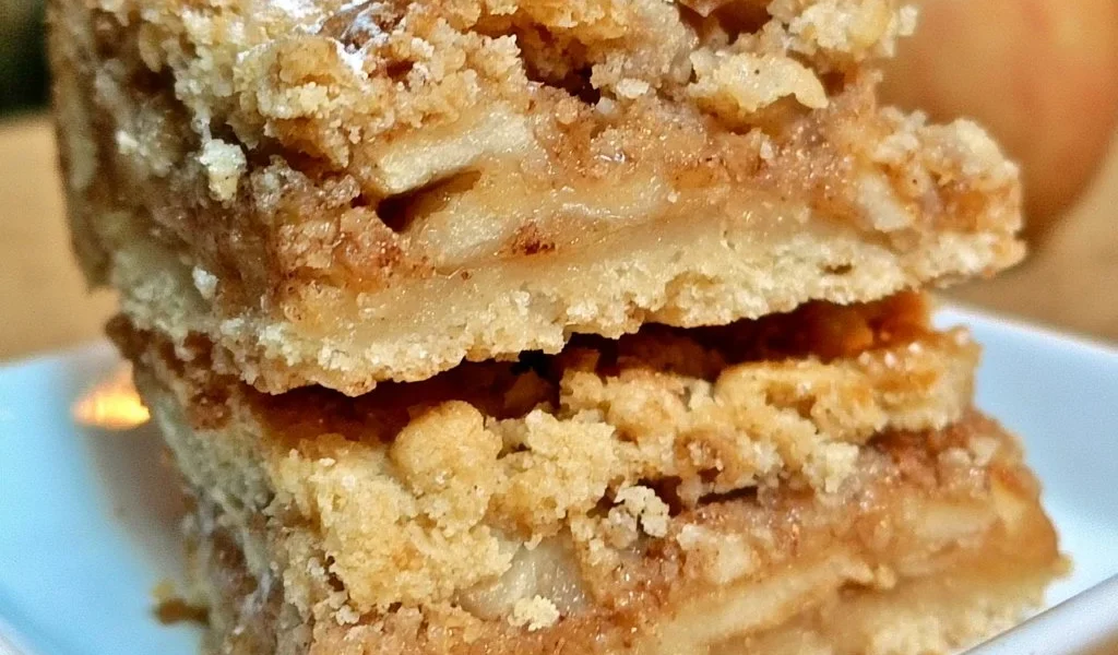 Barrette di Mela di Ina, snack sano e delizioso a base di mele fresche.