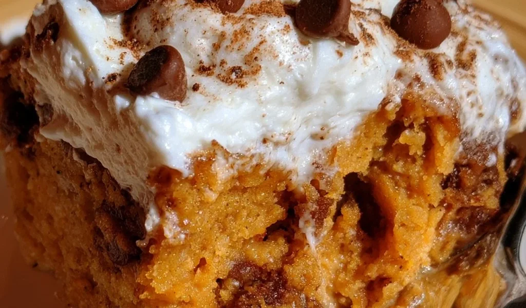Torta di zucca con gocce di cioccolato e crema di formaggio